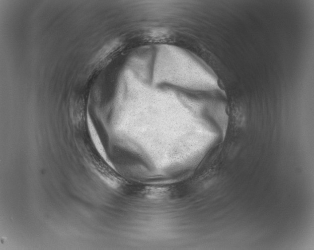 X0000076040665200610201854