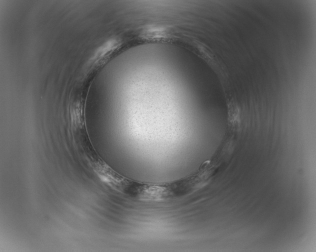 X0000076040669200610201855
