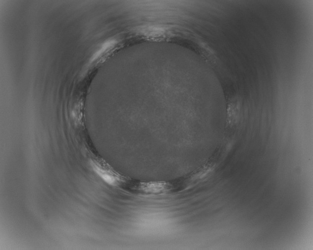 X0000076040671200610201855