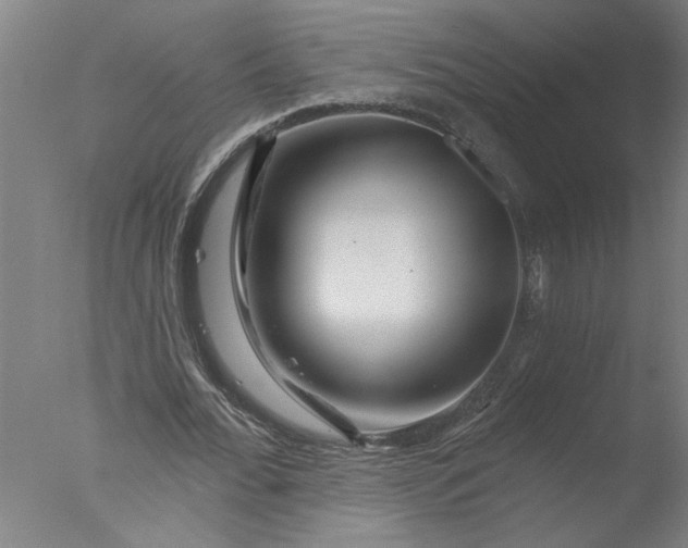 X0000076040676200610201854
