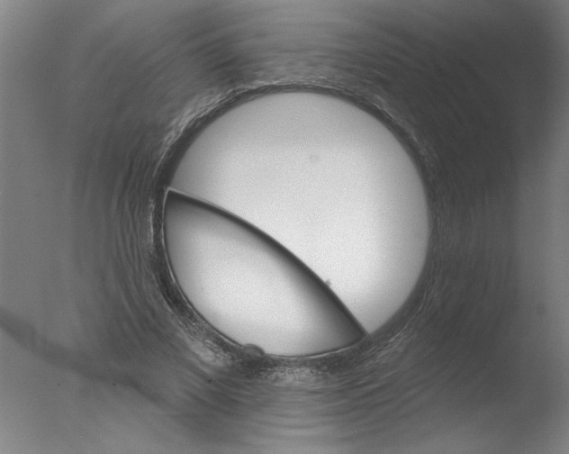 X0000076040685200610201854
