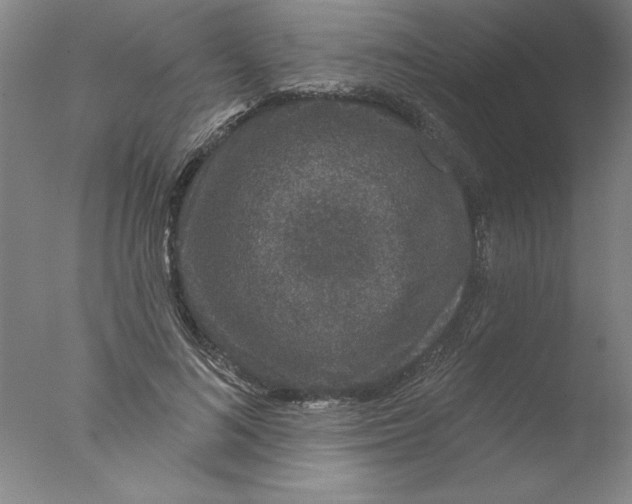 X0000076040692200610201853