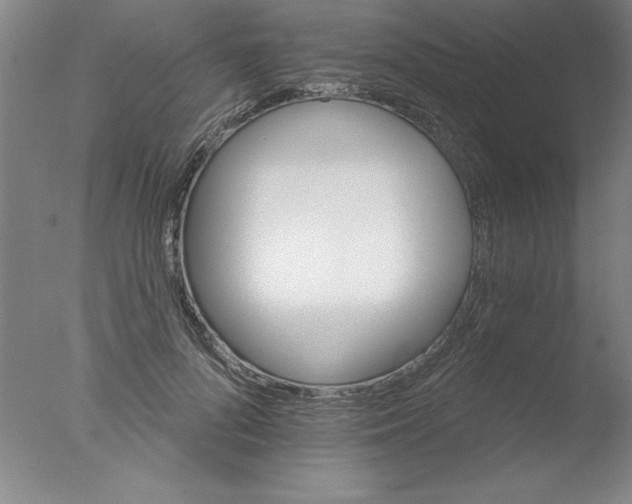 X0000076040696200610201853