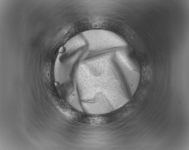 X0000076040698200610201853