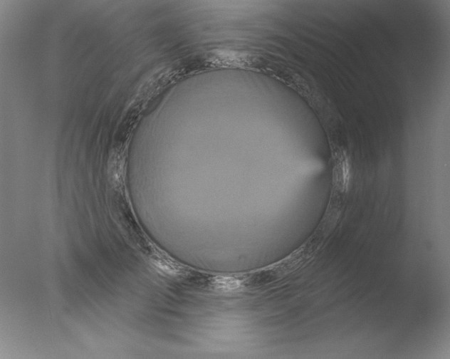 X0000076040701200610201853