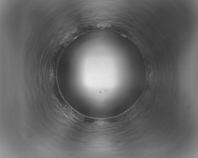 X0000076040704200610201853
