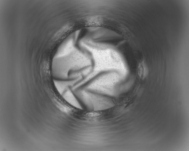X0000076040714200610201853