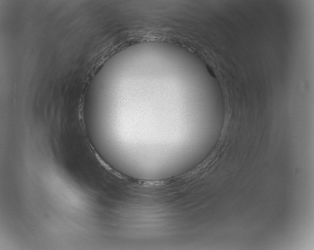 X0000076040720200610201853