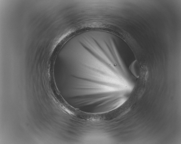 X0000076040727200610201852