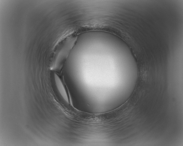 X0000076040735200610201852