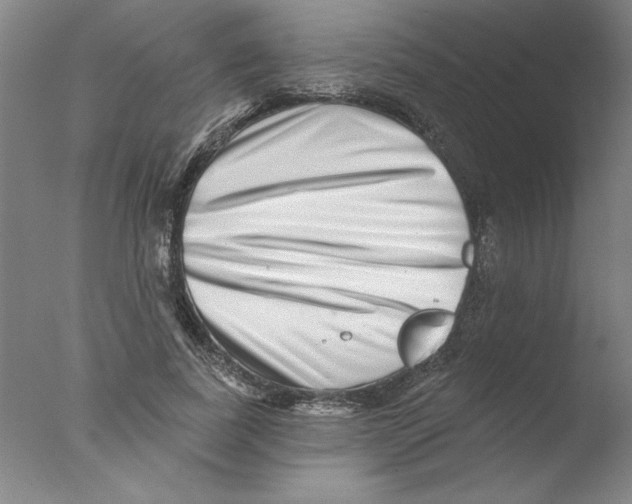 X0000076040739200610201853