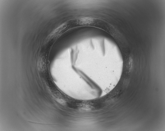 X0000076040743200610201853