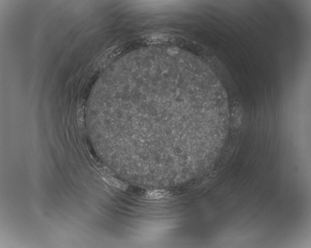 X0000076040753200610201853