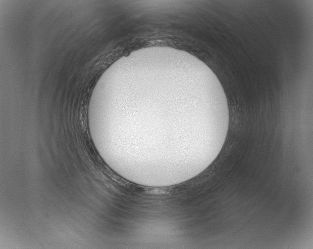X0000076040754200610201853