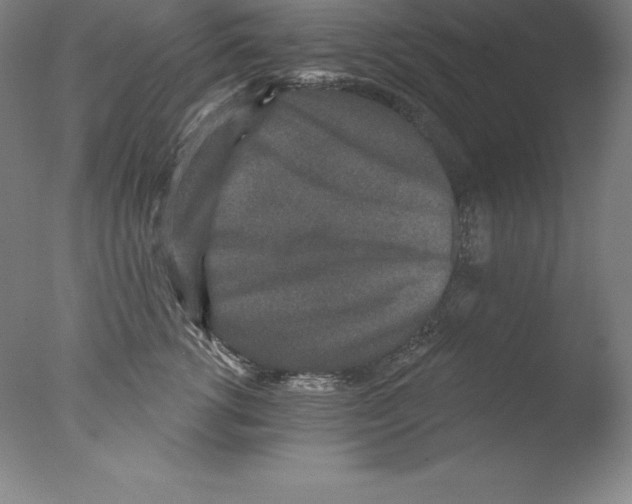 X0000076040762200610201853