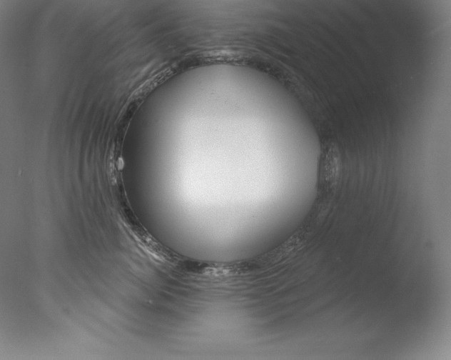 X0000076040764200610201853