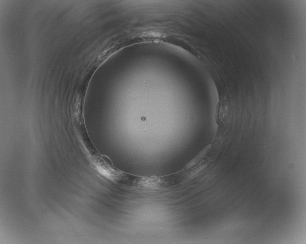 X0000076040767200610201853