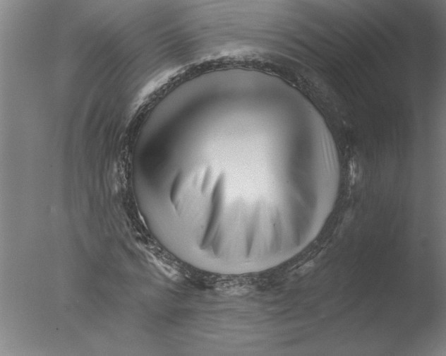X0000076040776200610201852