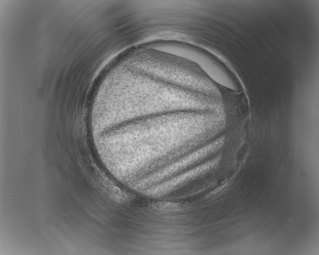 X0000076040783200610201852