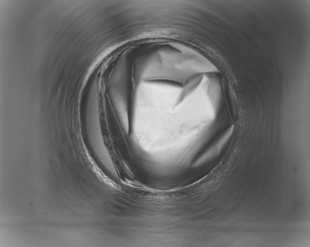 X0000076040792200610201852