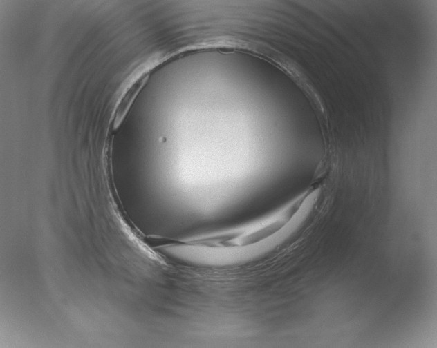 X0000076040805200610201852
