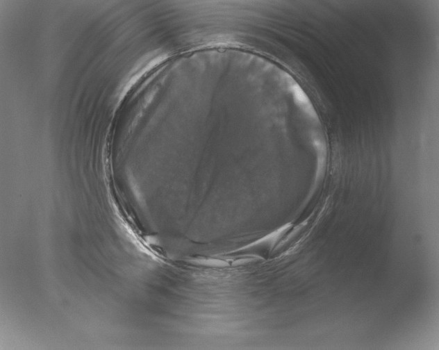 X0000076040806200610201852