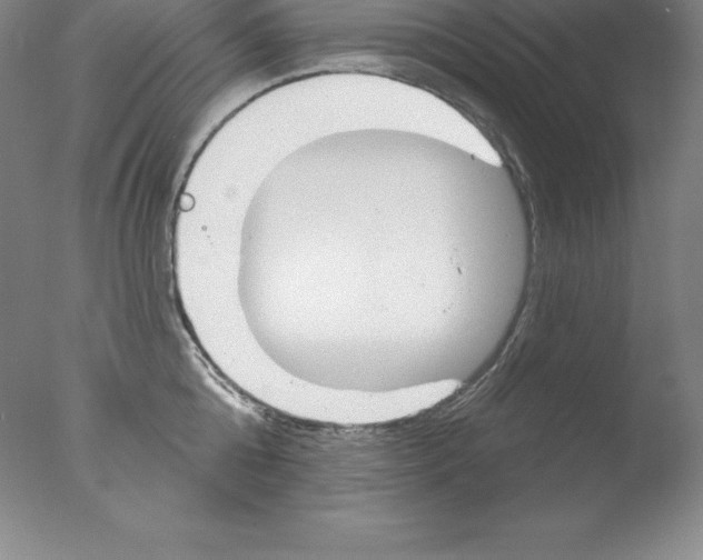 X0000076040808200610201852