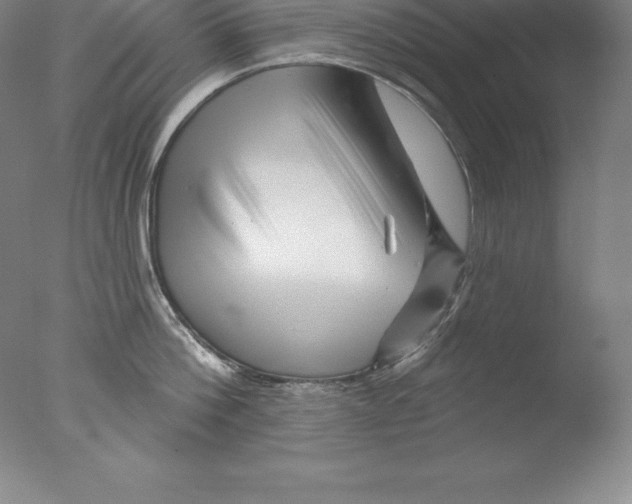 X0000076040812200610201851
