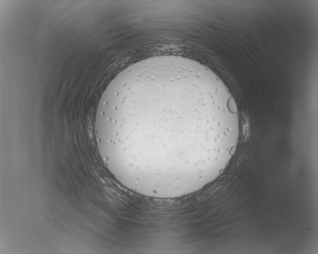 X0000076040819200610201851