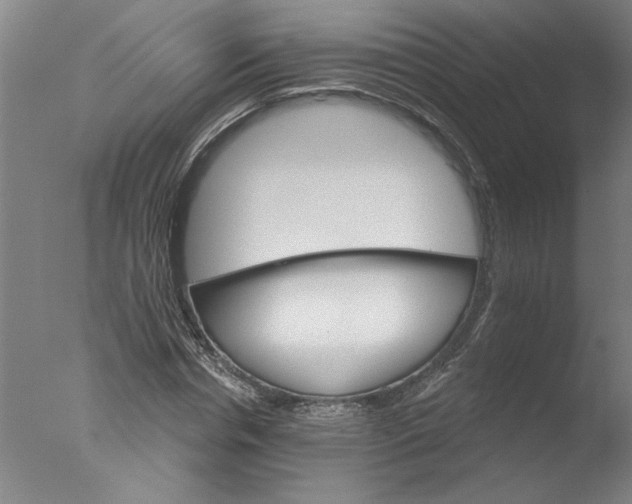 X0000076040826200610201851