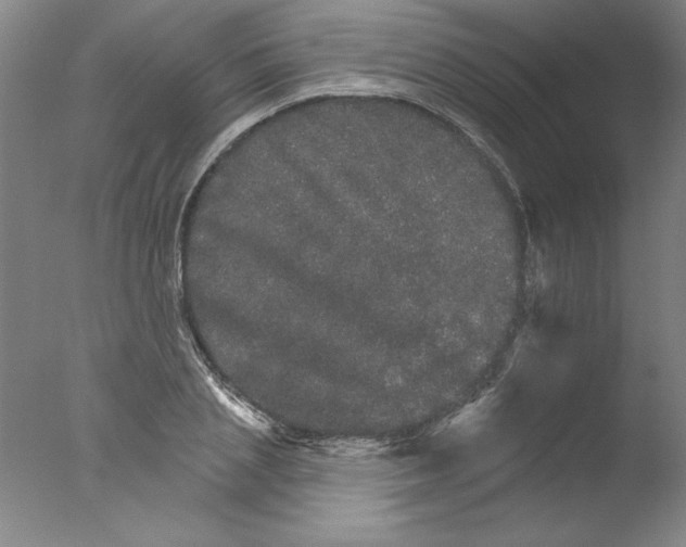 X0000076040837200610201851