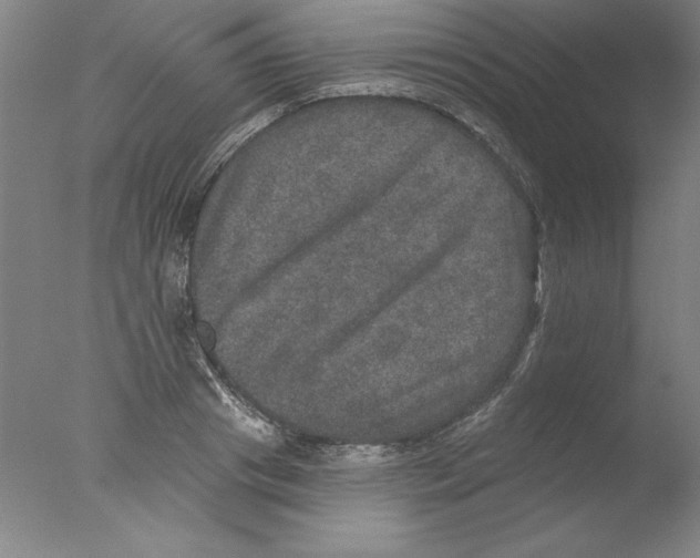 X0000076040841200610201851