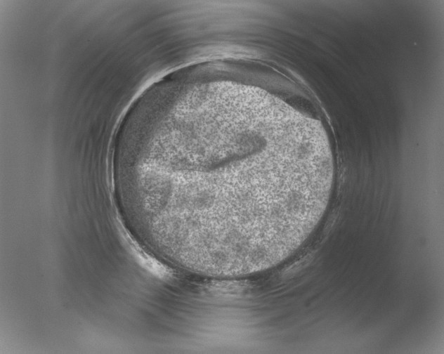X0000076040843200610201851