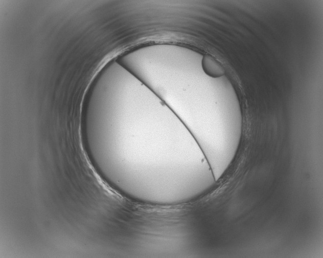 X0000076040845200610201851