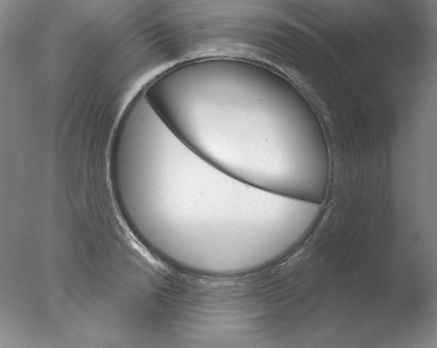 X0000076040846200610201851