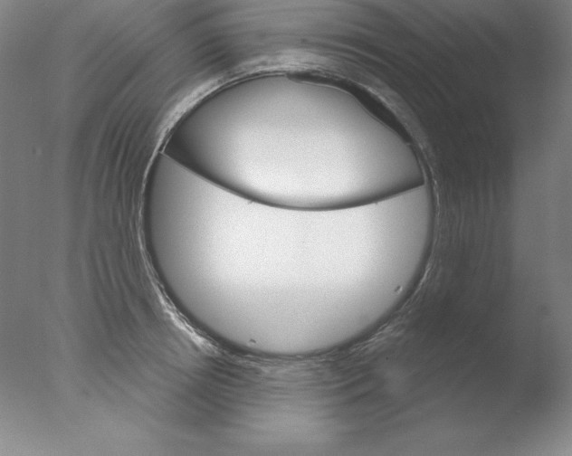 X0000076040850200610201851