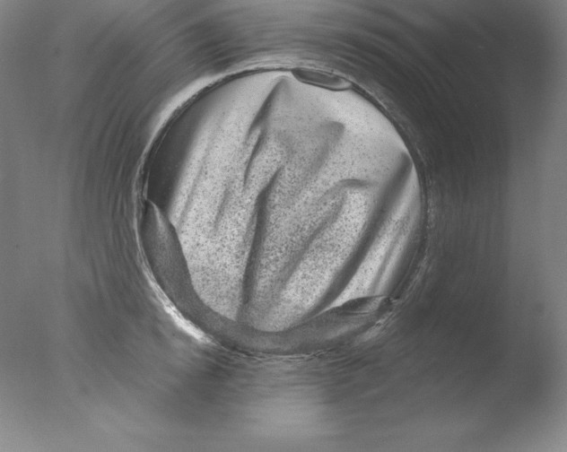 X0000076040854200610201851