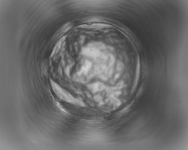 X0000076040857200610201851