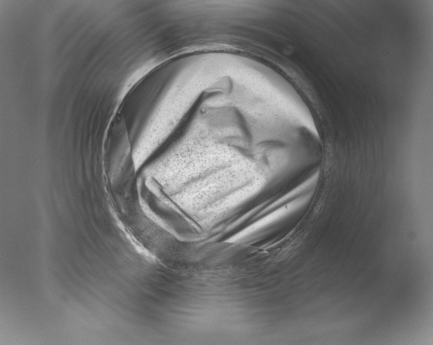 X0000076040858200610201851