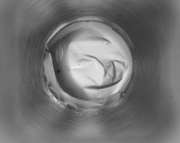 X0000076040860200610201851