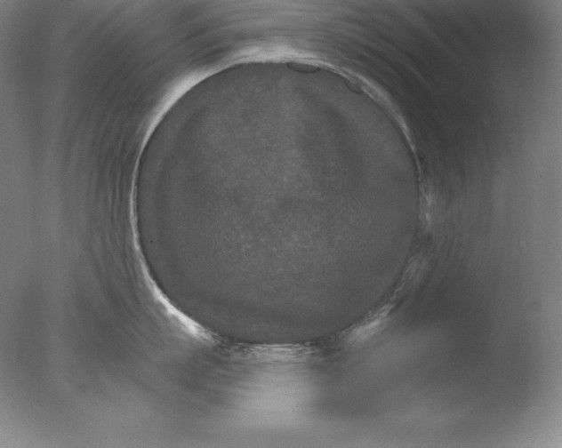 X0000076040863200610201851