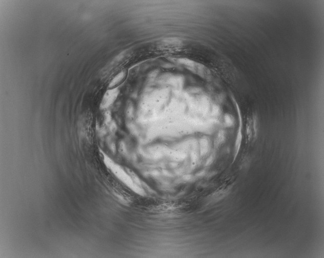 X0000076040867200610201851