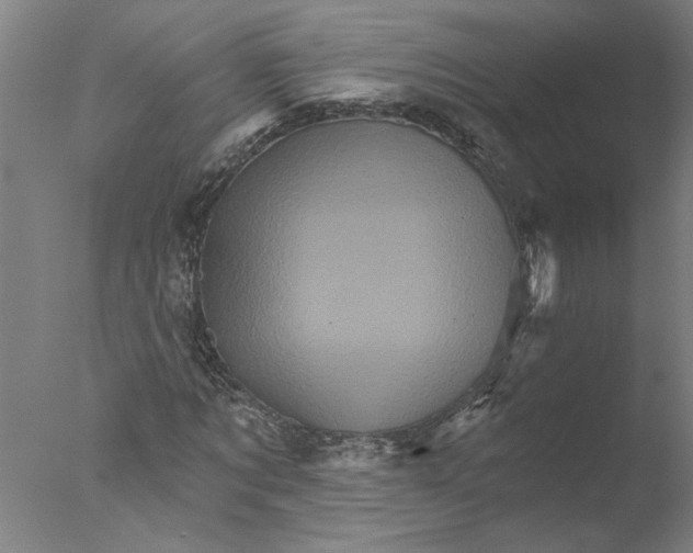 X0000076040869200610201851