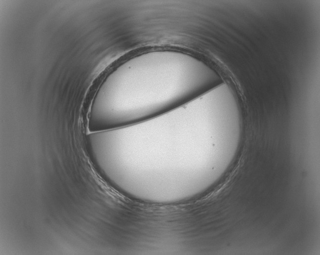 X0000076040876200610201850