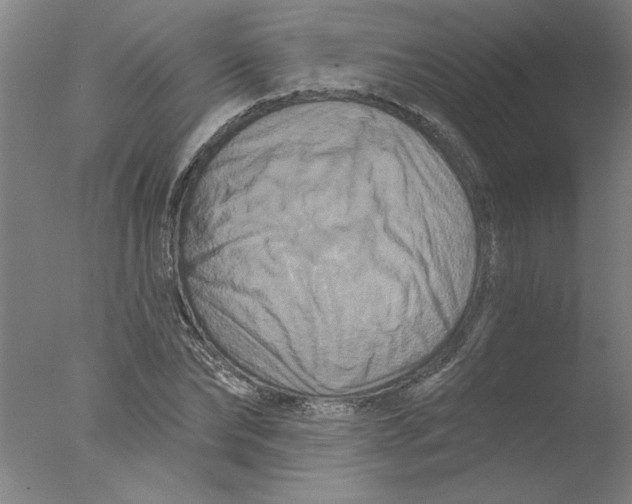 X0000076040878200610201850