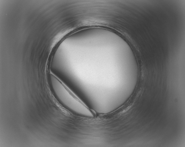 X0000076040885200610201850