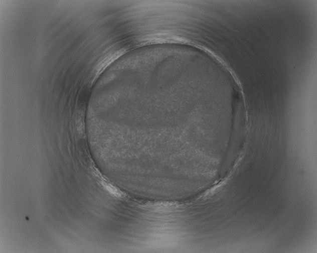 X0000076040889200610201850