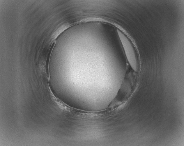 X0000076040905200610201850