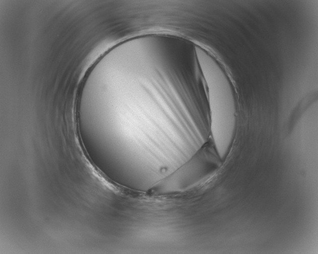 X0000076040910200610201850