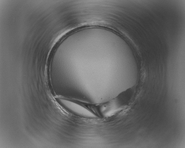 X0000076040932200610201849